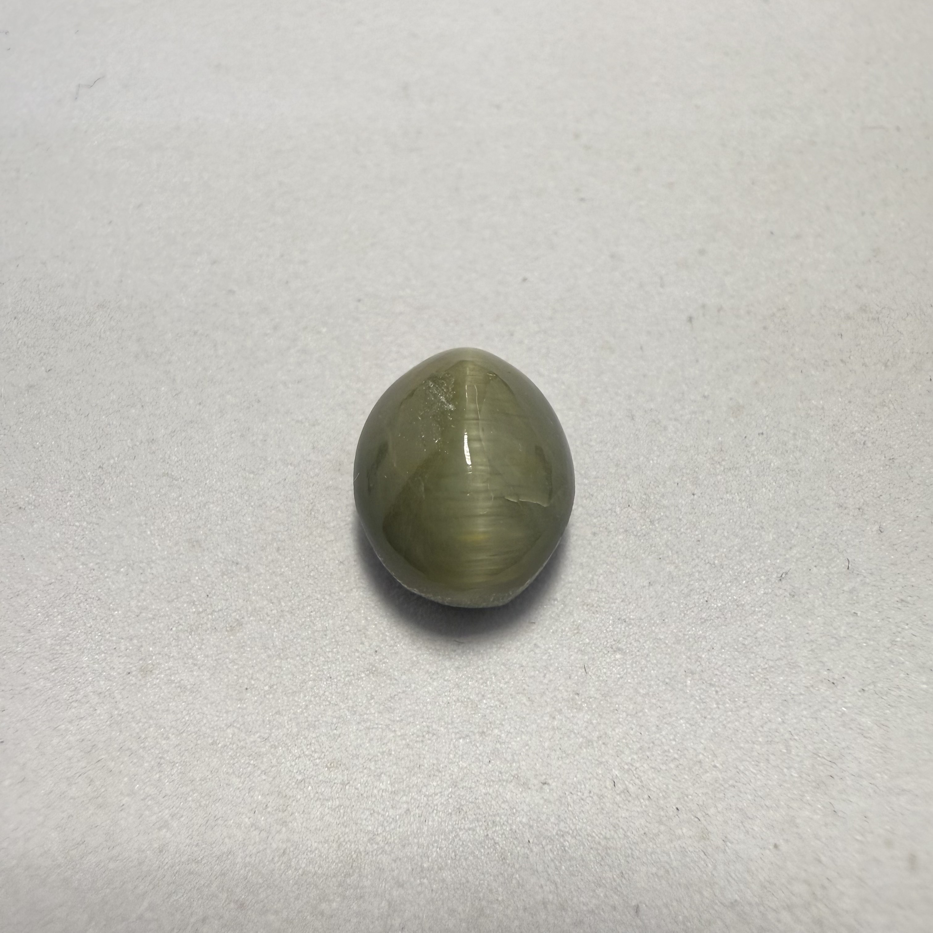 Cats Eye - 6.50 Carat